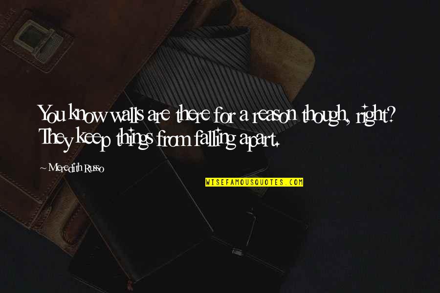 Avulso Sinonimo Quotes By Meredith Russo: You know walls are there for a reason