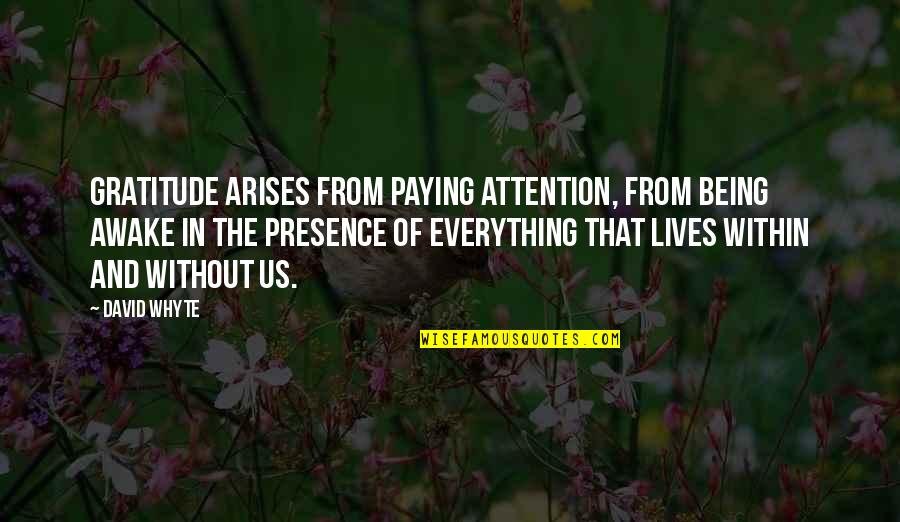 Awake Arise Quotes By David Whyte: Gratitude arises from paying attention, from being awake Awake Arise Quotes By David Whyte: Gratitude arises from paying attention, from being awake