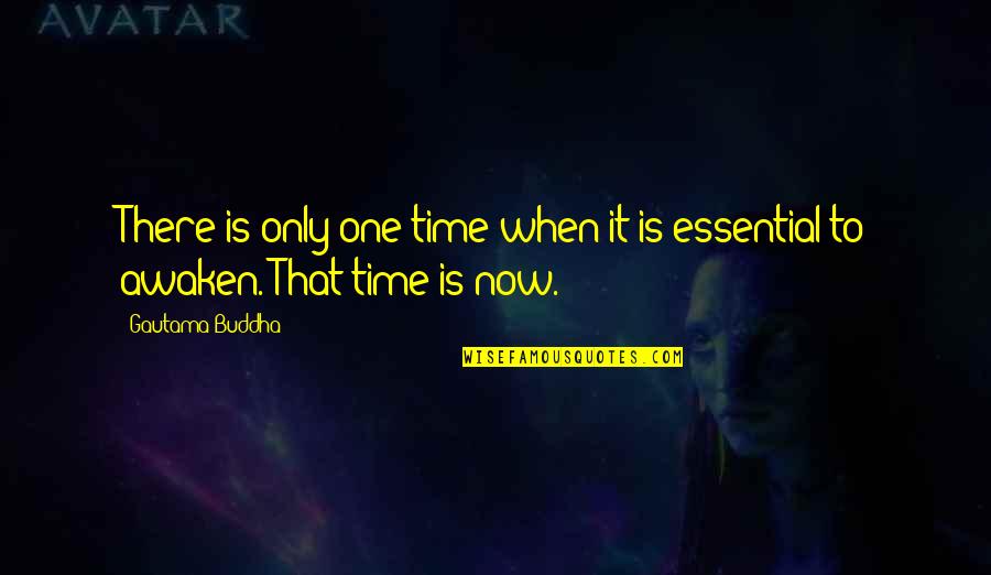 Awaken Buddha Quotes By Gautama Buddha: There is only one time when it is