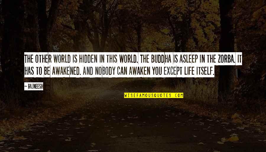 Awaken Buddha Quotes By Rajneesh: The other world is hidden in this world.