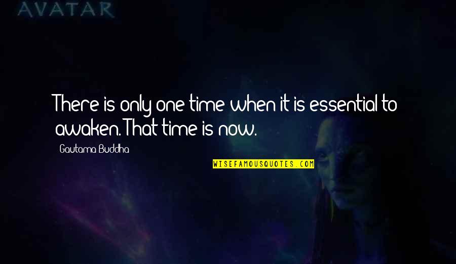 Awaken'd Quotes By Gautama Buddha: There is only one time when it is