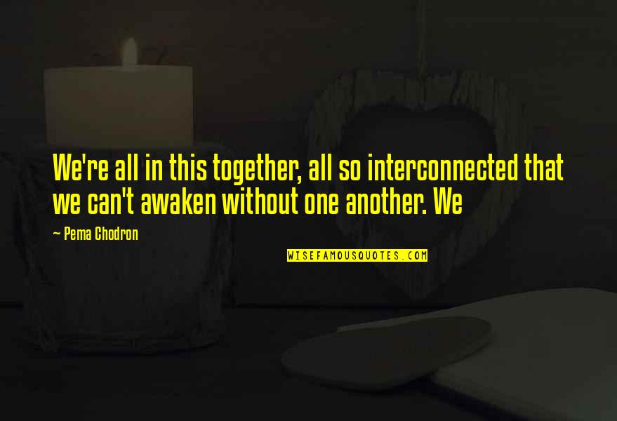 Awaken'd Quotes By Pema Chodron: We're all in this together, all so interconnected Awaken'd Quotes By Pema Chodron: We're all in this together, all so interconnected