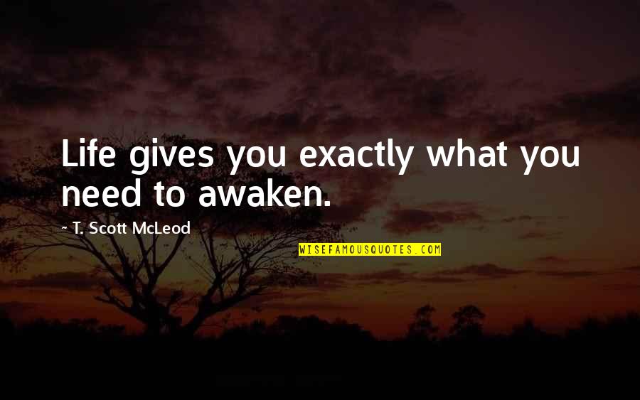 Awakening Enlightenment Quotes By T. Scott McLeod: Life gives you exactly what you need to