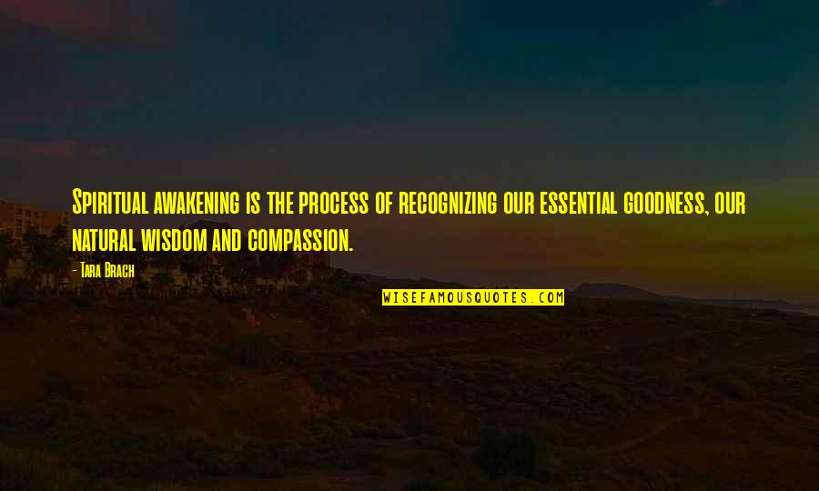 Awakening Process Quotes By Tara Brach: Spiritual awakening is the process of recognizing our Awakening Process Quotes By Tara Brach: Spiritual awakening is the process of recognizing our