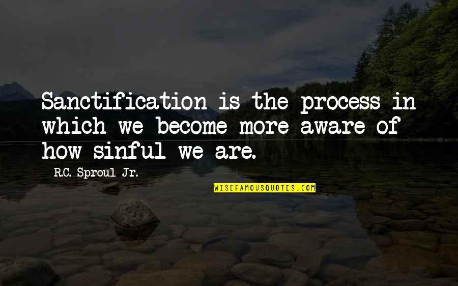 Aware Of Quotes By R.C. Sproul Jr.: Sanctification is the process in which we become