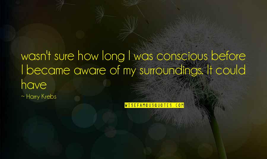 Aware Of Your Surroundings Quotes By Harry Krebs: wasn't sure how long I was conscious before