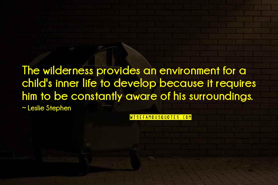 Aware Of Your Surroundings Quotes By Leslie Stephen: The wilderness provides an environment for a child's