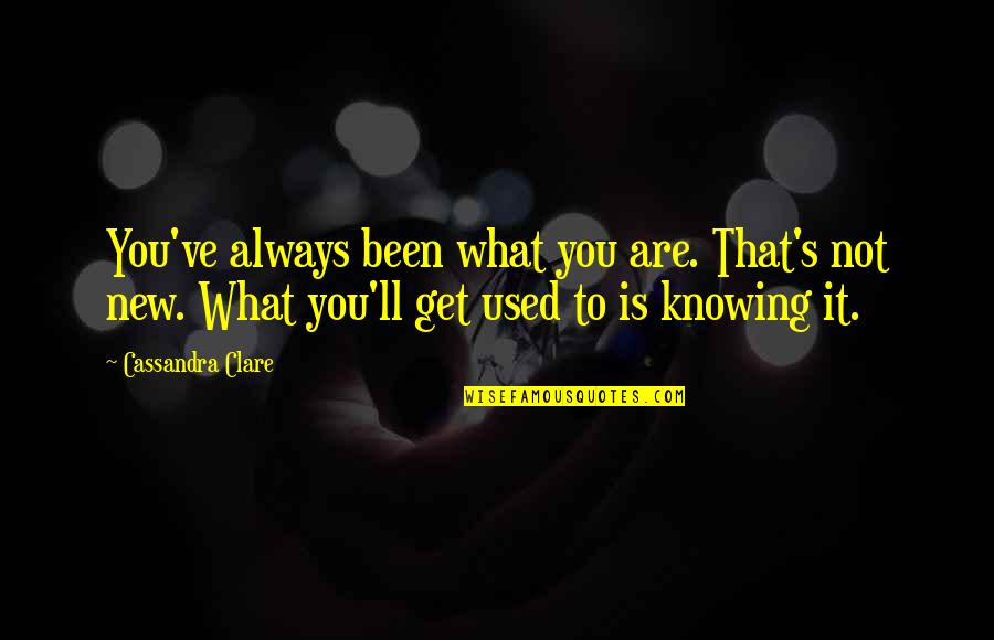 Awareness's Quotes By Cassandra Clare: You've always been what you are. That's not Awareness's Quotes By Cassandra Clare: You've always been what you are. That's not