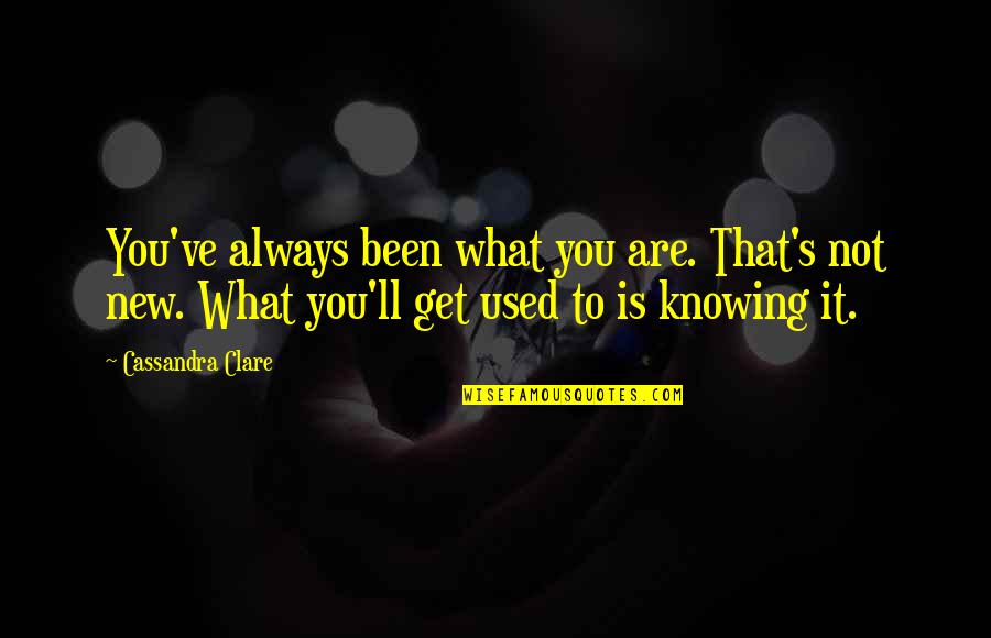 Awareness's Quotes By Cassandra Clare: You've always been what you are. That's not