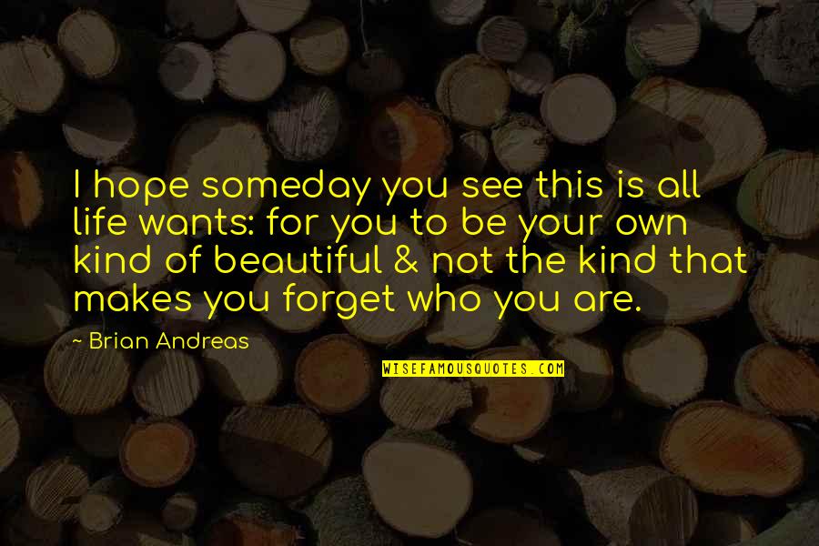 Awargi Quotes By Brian Andreas: I hope someday you see this is all