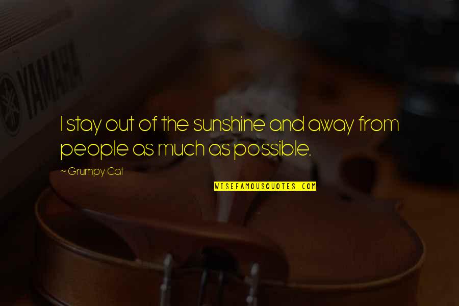 Away As Quotes By Grumpy Cat: I stay out of the sunshine and away