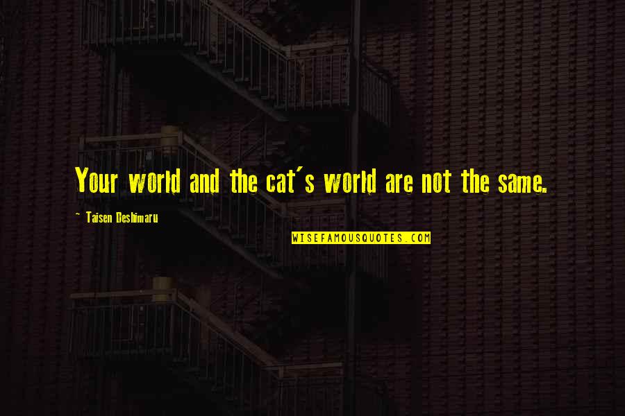 Away Bati Man Tayo Quotes By Taisen Deshimaru: Your world and the cat's world are not Away Bati Man Tayo Quotes By Taisen Deshimaru: Your world and the cat's world are not