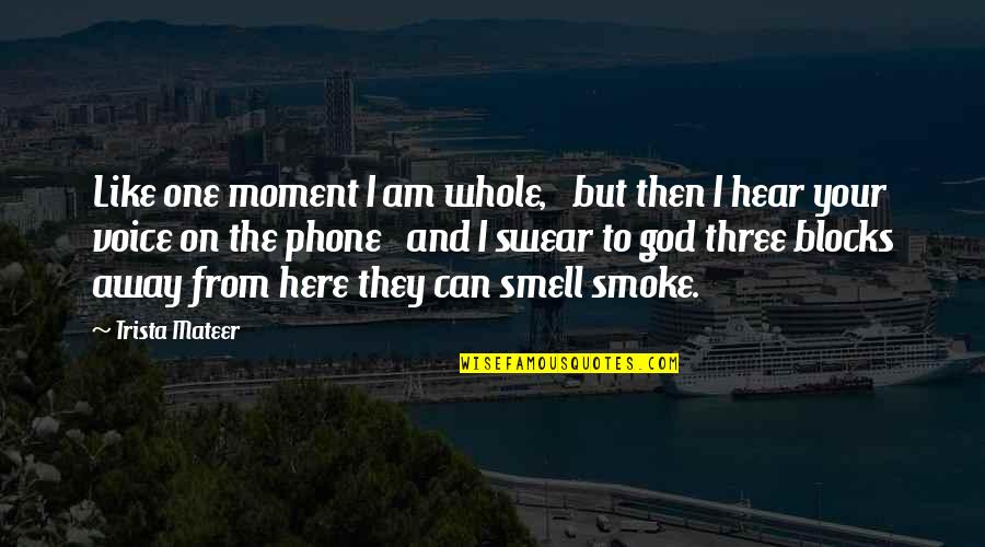 Away From Here Quotes By Trista Mateer: Like one moment I am whole, but then