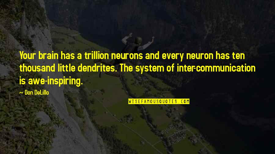 Awe Inspiring Quotes By Don DeLillo: Your brain has a trillion neurons and every Awe Inspiring Quotes By Don DeLillo: Your brain has a trillion neurons and every