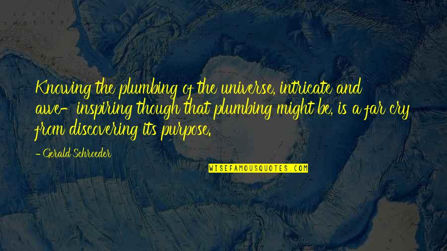 Awe Inspiring Quotes By Gerald Schroeder: Knowing the plumbing of the universe, intricate and Awe Inspiring Quotes By Gerald Schroeder: Knowing the plumbing of the universe, intricate and