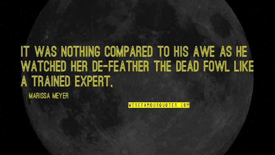 Awe Quotes By Marissa Meyer: It was nothing compared to his awe as Awe Quotes By Marissa Meyer: It was nothing compared to his awe as