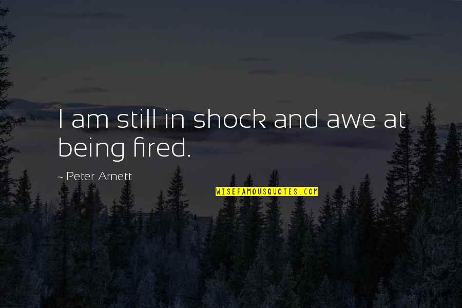 Awe Quotes By Peter Arnett: I am still in shock and awe at
