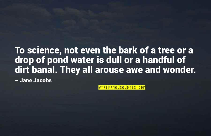 Awe Wonder Quotes By Jane Jacobs: To science, not even the bark of a
