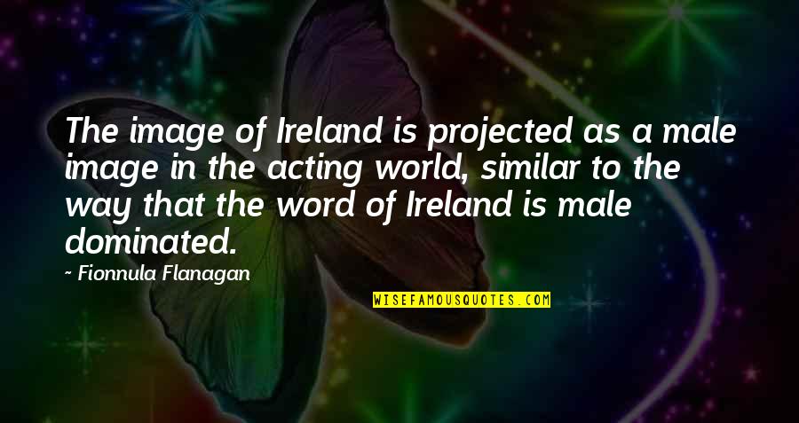Awesome Haha Quotes By Fionnula Flanagan: The image of Ireland is projected as a