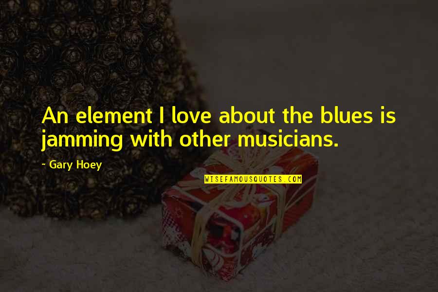Awesome Husband And Father Quotes By Gary Hoey: An element I love about the blues is