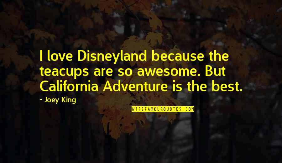 Awesome Love Quotes By Joey King: I love Disneyland because the teacups are so