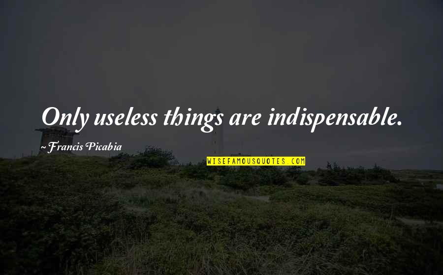 Awesome Person Quotes By Francis Picabia: Only useless things are indispensable.