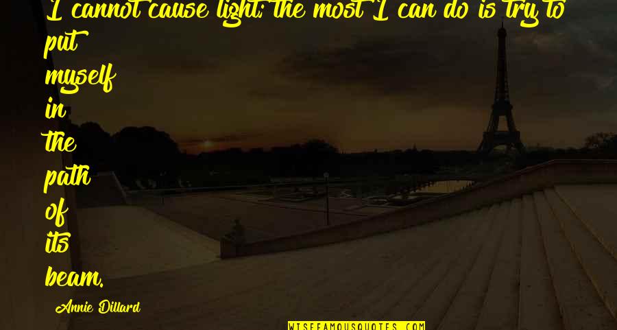Awesome Tagline Quotes By Annie Dillard: I cannot cause light; the most I can