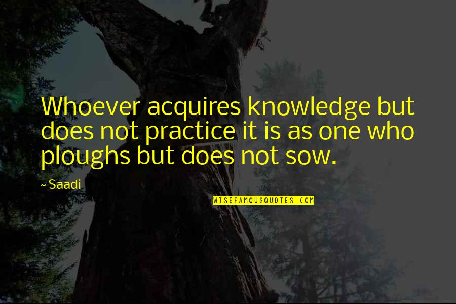 Awesome Wordings Quotes By Saadi: Whoever acquires knowledge but does not practice it