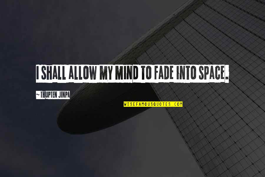 Awesomely Good Quotes By Thupten Jinpa: I shall allow my mind to fade into