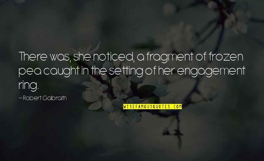 Awful Friend Quotes By Robert Galbraith: There was, she noticed, a fragment of frozen