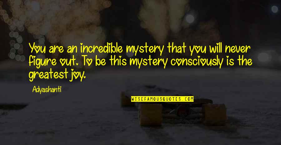 Awk Separator Quotes By Adyashanti: You are an incredible mystery that you will