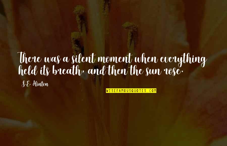 Awkward Mtv Series Quotes By S.E. Hinton: There was a silent moment when everything held