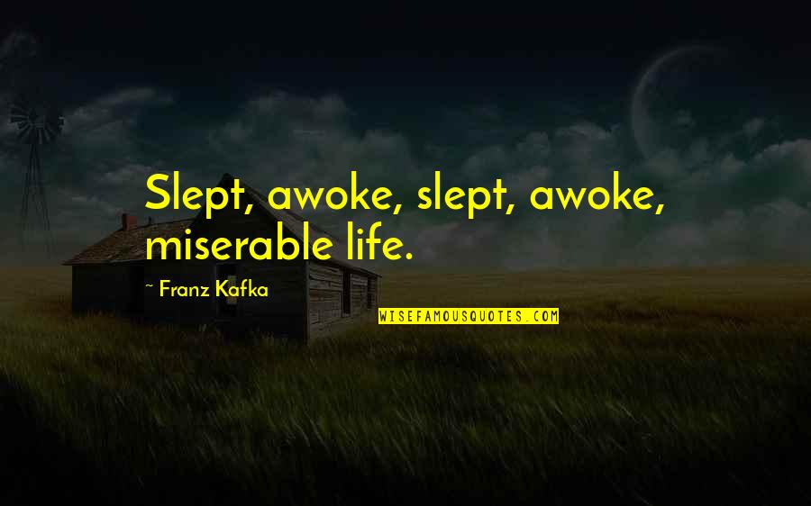 Awoke Quotes By Franz Kafka: Slept, awoke, slept, awoke, miserable life.