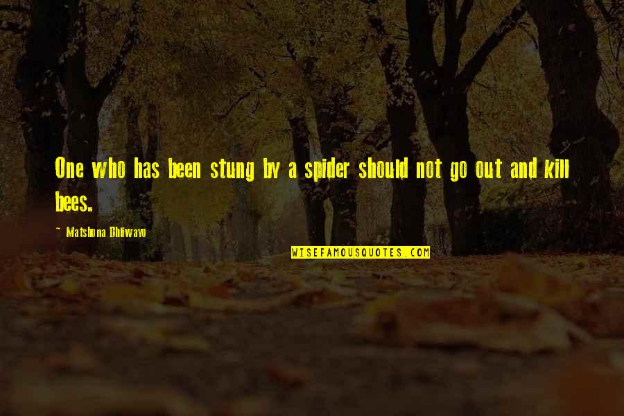 Awp Gungnir Quotes By Matshona Dhliwayo: One who has been stung by a spider