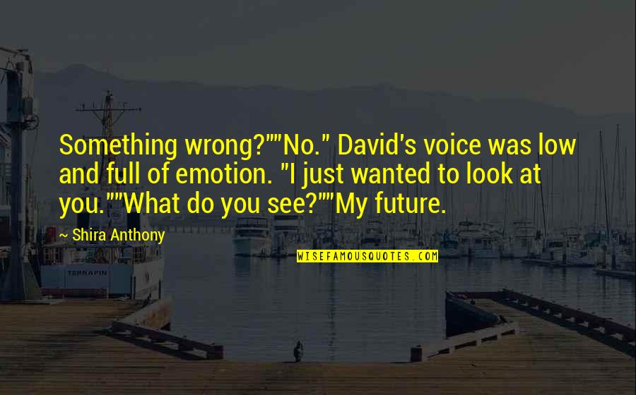 Aww Moment Quotes By Shira Anthony: Something wrong?""No." David's voice was low and full