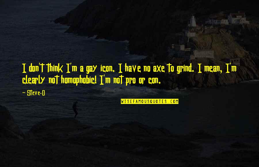 Axe Cop Quotes By Steve-O: I don't think I'm a gay icon. I