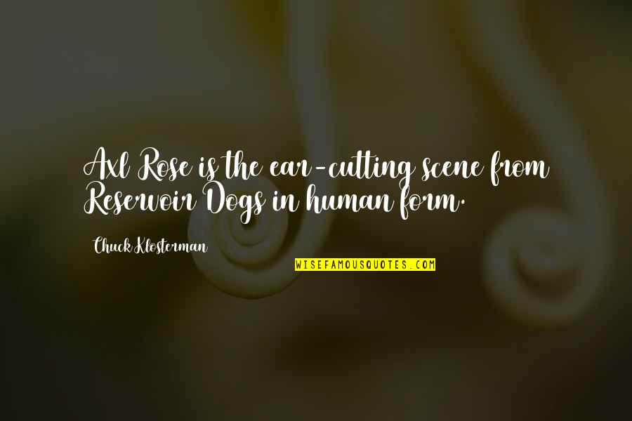 Axl Rose Quotes By Chuck Klosterman: Axl Rose is the ear-cutting scene from Reservoir Axl Rose Quotes By Chuck Klosterman: Axl Rose is the ear-cutting scene from Reservoir