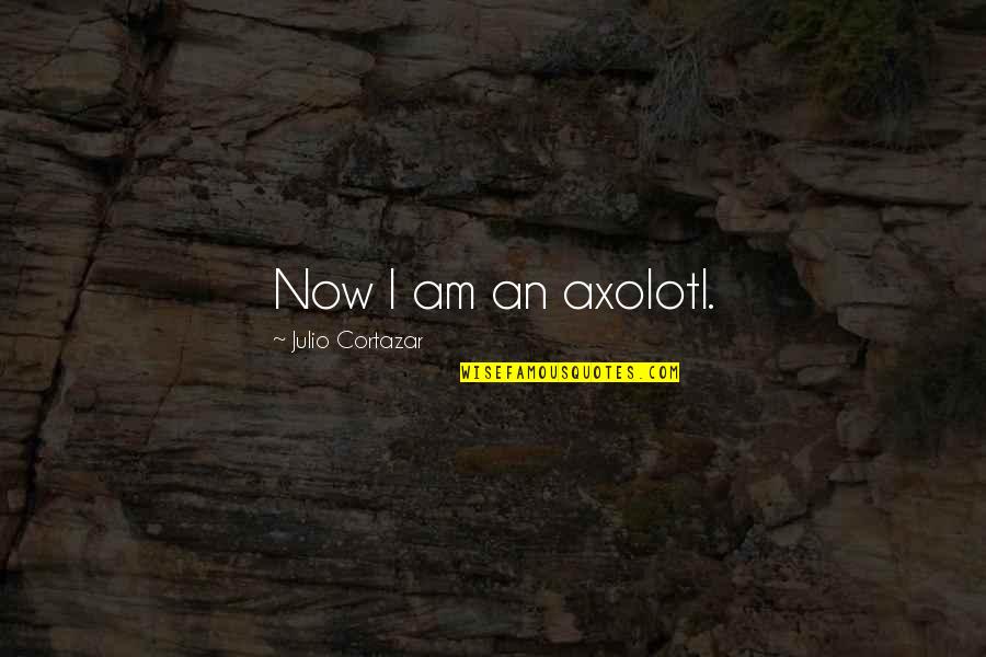 Axolotl Quotes By Julio Cortazar: Now I am an axolotl.