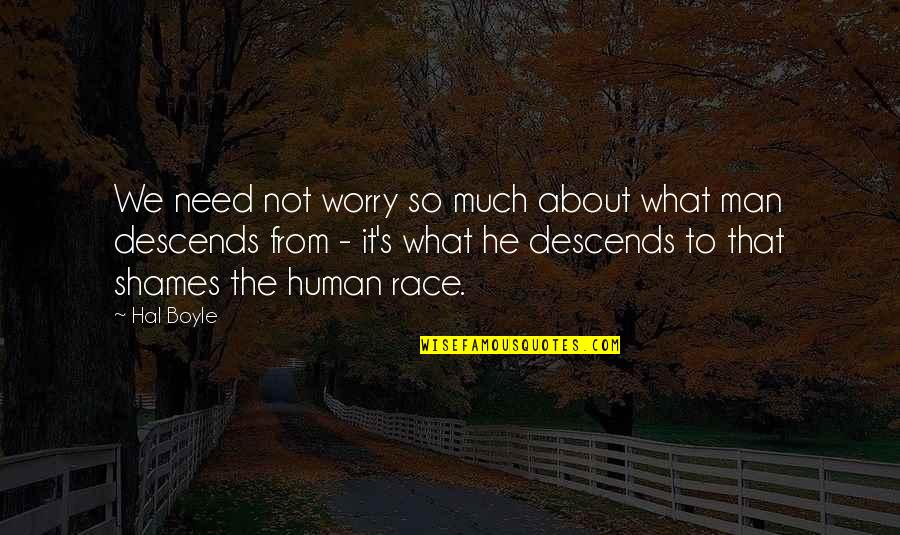 Ayache Derradji Quotes By Hal Boyle: We need not worry so much about what Ayache Derradji Quotes By Hal Boyle: We need not worry so much about what