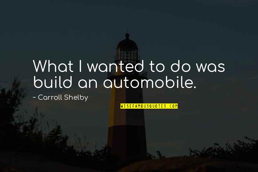 Ayaw Kona Quotes By Carroll Shelby: What I wanted to do was build an