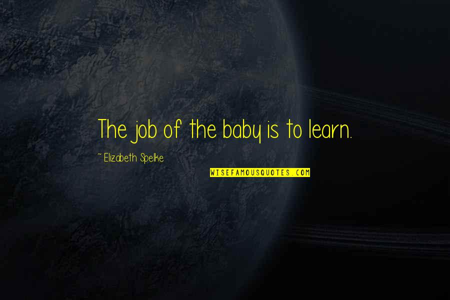 Aycan Quotes By Elizabeth Spelke: The job of the baby is to learn.