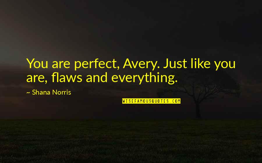 Ayeesha Kosugi Quotes By Shana Norris: You are perfect, Avery. Just like you are,