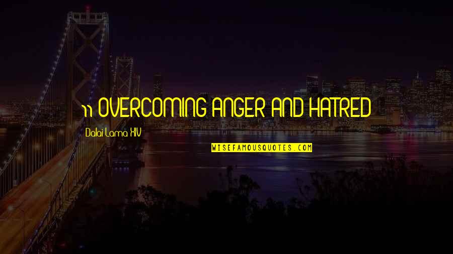 Ayfer Shams Quotes By Dalai Lama XIV: 11 OVERCOMING ANGER AND HATRED