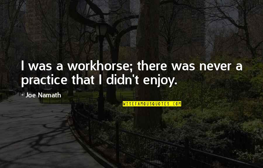 Ayla Quotes By Joe Namath: I was a workhorse; there was never a