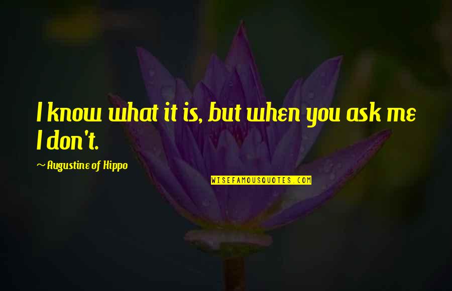 Ayleen Lopez Quotes By Augustine Of Hippo: I know what it is, but when you