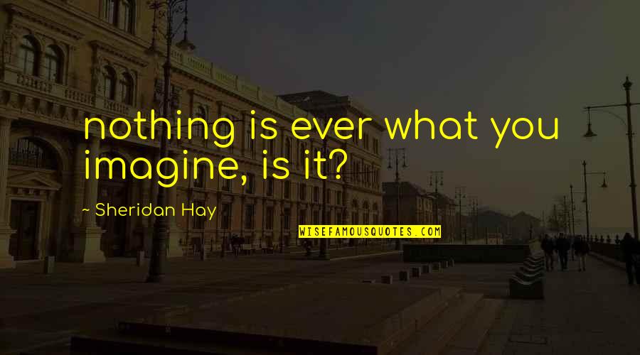 Aylon Bermudez Quotes By Sheridan Hay: nothing is ever what you imagine, is it?