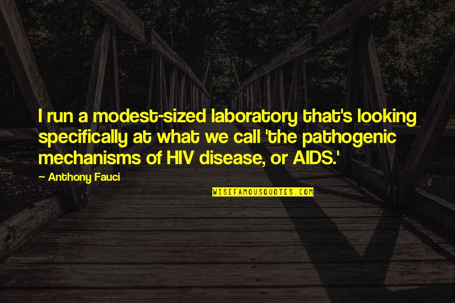 Ayoko Maghanap Ng Iba Quotes By Anthony Fauci: I run a modest-sized laboratory that's looking specifically