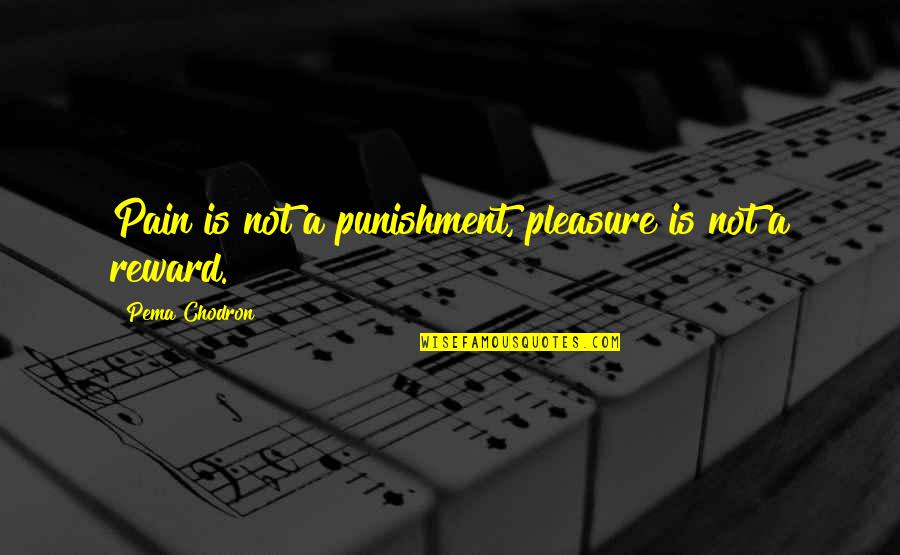 Ayorinde Akinrinlola Quotes By Pema Chodron: Pain is not a punishment, pleasure is not Ayorinde Akinrinlola Quotes By Pema Chodron: Pain is not a punishment, pleasure is not