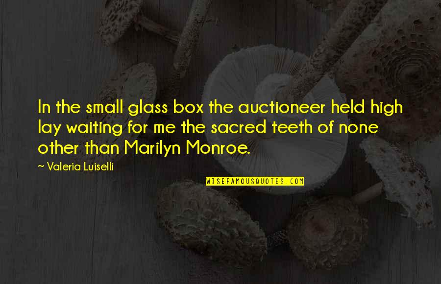 Ayr Lmas Newberry Quotes By Valeria Luiselli: In the small glass box the auctioneer held Ayr Lmas Newberry Quotes By Valeria Luiselli: In the small glass box the auctioneer held
