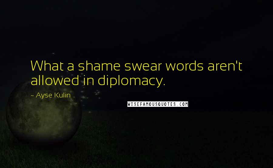 Ayse Kulin quotes: What a shame swear words aren't allowed in diplomacy.